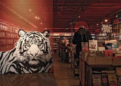 Serie photos anthropocene